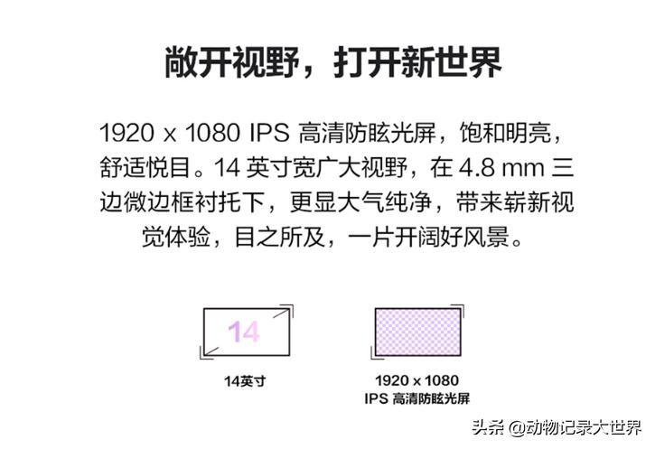 剑灵装备成长计算器在哪